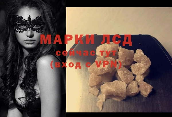 стаф Каменск-Шахтинский