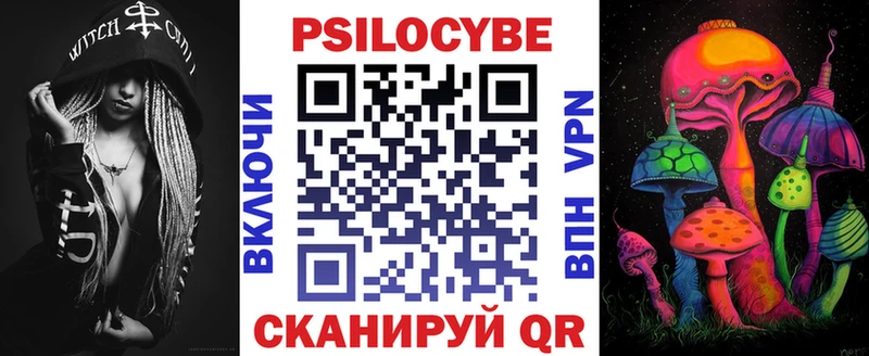 Псилоцибиновые грибы Psilocybine cubensis  Купить закладки  Болхов 
